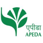 screenshot 2025 12 09 174933